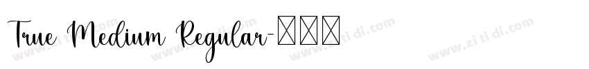 True Medium Regular字体转换